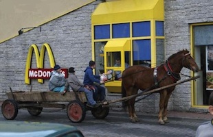 Auto Mc Cartonero
