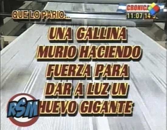 El huevo o la gallina