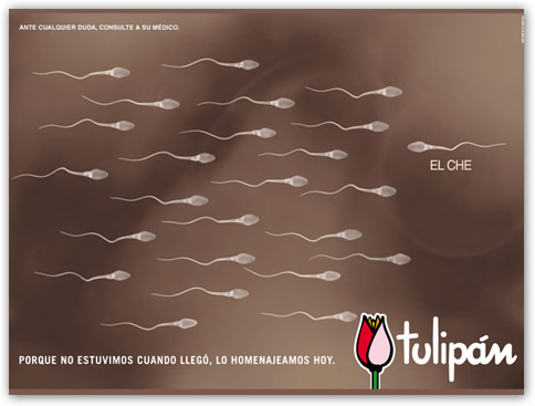 tulipan homenaje al che