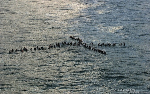 Christian Surfers International en Red Bull