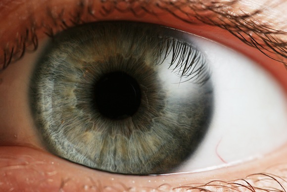Ojo: Lentes de contacto Ojo: Lentes de contacto