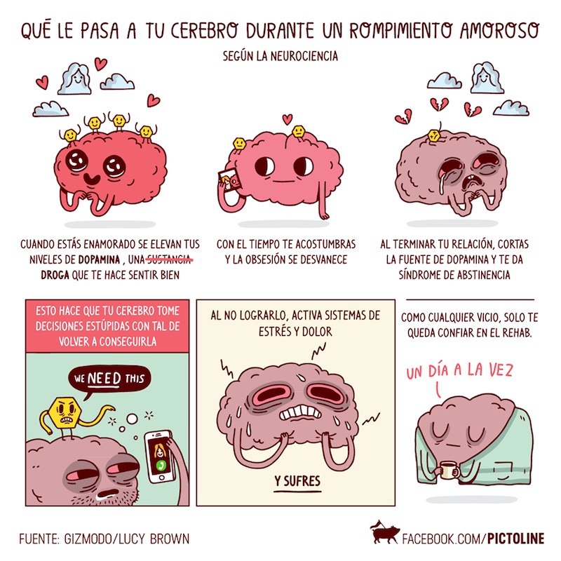 Qué le pasa a tu cerebro durante un rompimiento amoroso según la neurociencia