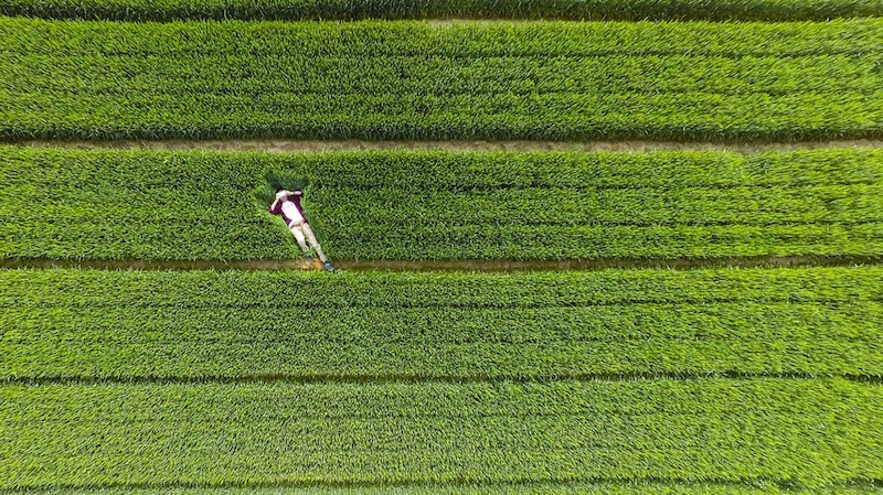 Shandong, China