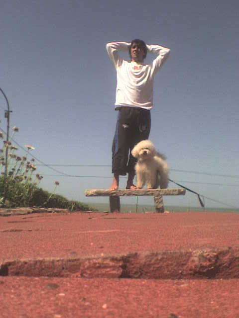 Truman - Bola - Pelota - Perro